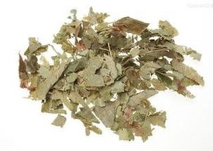 淫羊藿提取物 天然补肾壮阳与香料的双重功效