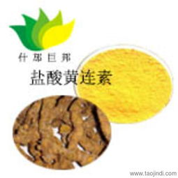 巨邦供应小檗碱黄连素 天然香料的健康之选