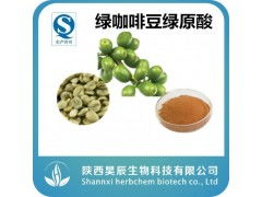 绿咖啡豆提取物 富含绿原酸的天然香料与植物提取物