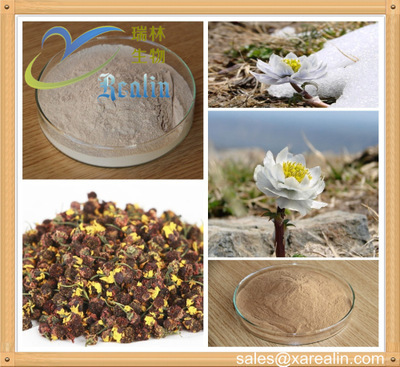 雪莲脂 源自雪莲花的专业植物提取物与天然香料