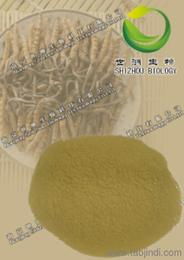 掌握市场动向 植物提取物植物的价格走势、优质厂家选择与批发攻略及天然香料应用展望