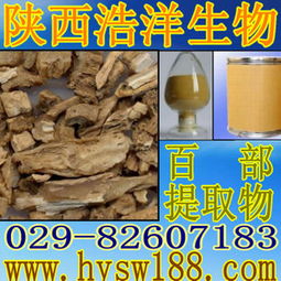 天然百部提取物 植物提取物供应商的优质选择