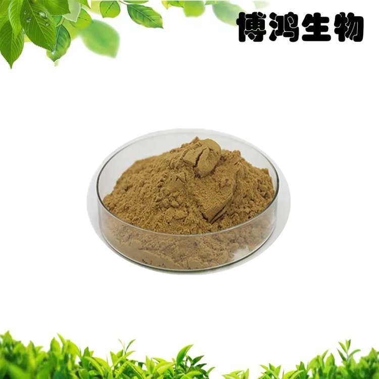 云芝提取物10:1 博鸿生物打造的高品质植物提取物标杆