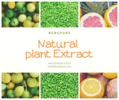植物提取物与天然香料对功能饮料的八大影响